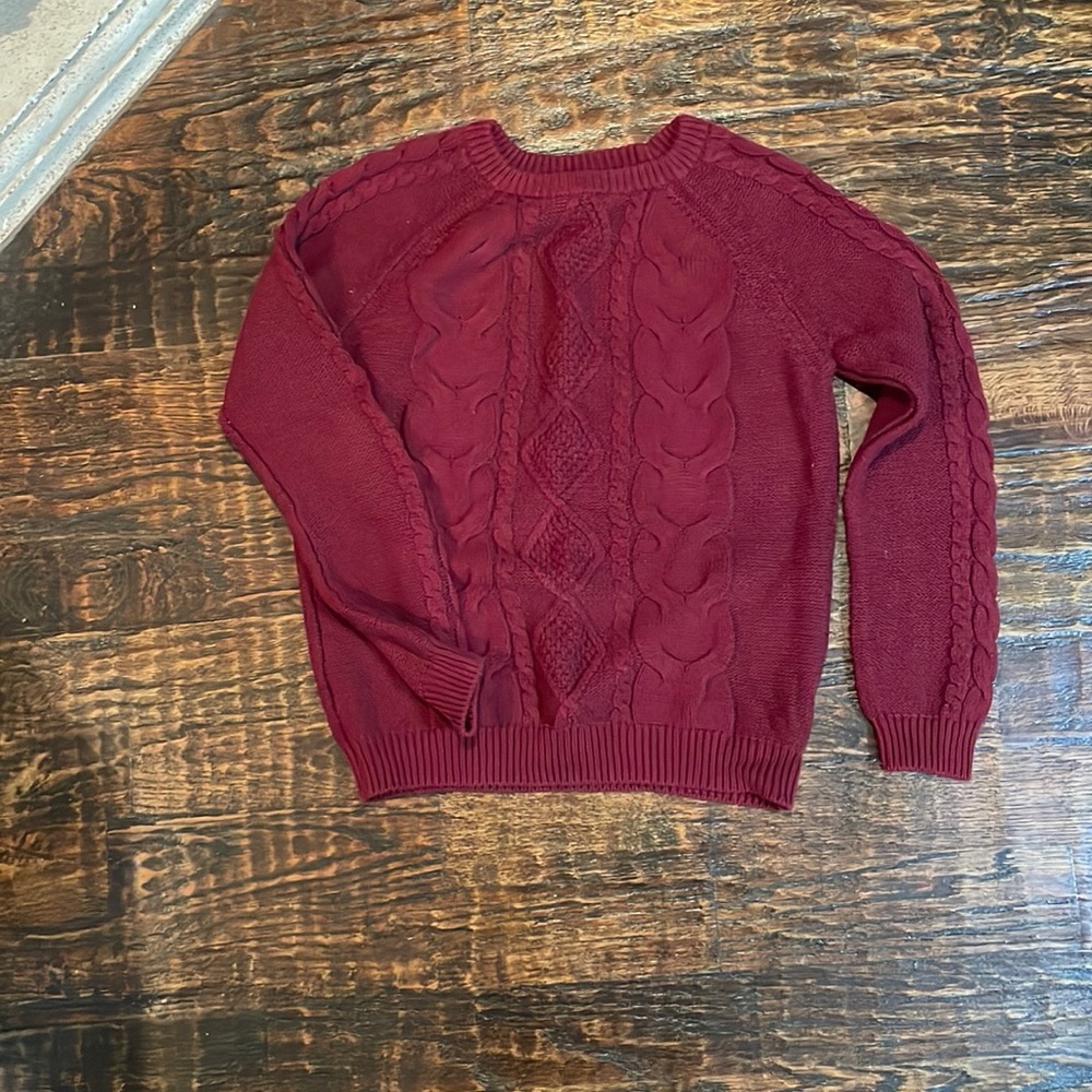 Forever 21 burgundy crew neck sweater.